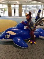 Anthro Southeast 2018