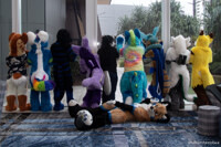 NeonFur 2018: Tails