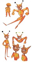 Shannon Redesign