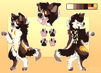 [Adopt Auction CLOSED] Fall Collie