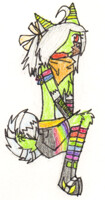 kiwi clothes concept