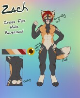 Zach Ref