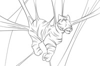 Web