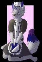 Xavier the Maid