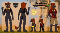 Besitius Reference Sheet