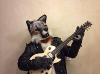 The fox plays