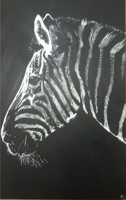 Scratchboard - Zebra (11x14)