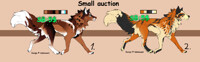 Small auction (closed)
