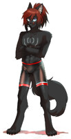 Feisty Wolfo