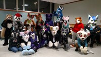 RI Furbowl 80 Fursuiters