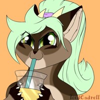 OJ or Mixed Drink?
