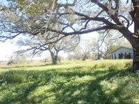 Pawpaw Legba's haunts2