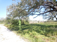 Pawpaw Legba's haunts3