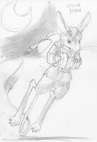 Random animal sketch: Jerboa