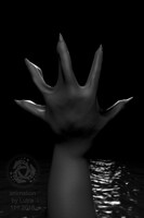 Otter transformation / growing webbing / 3D (fly around)