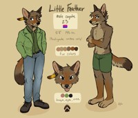 little feather reference commission