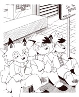 midnight dogs