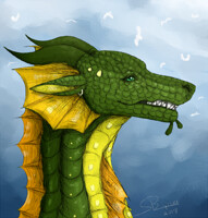 Cotinga sketch headshot