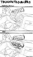 Talking to our cars
