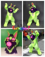 Honeydew Wolf Fullsuit