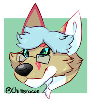 (C) Fureverafter headshot
