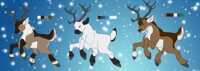 Reindeer Adopts 20$ AB