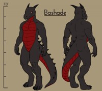 Bashade Ref Sheet(Flat color)