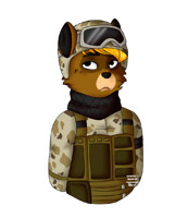 [c] icon 2