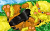 Arcanine