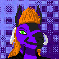 Venka Portrait