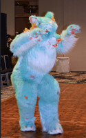 Fierce Kitty on the Runway