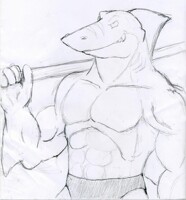 Shark Attack