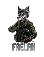 Faelan - Badge Commission