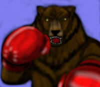 brown bear