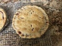 Making pies for thanksgiving