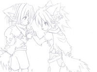 WIP_Licht & Shelef
