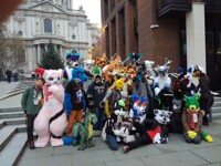 Lfm 11