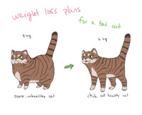 Weight plans