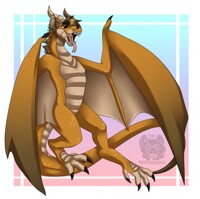wyvern 6