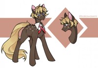 Pony Custom [Commission]