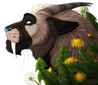 Dandelion