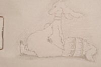 Feral Aeria