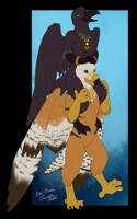 Silly birds