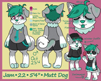 2019 Jam Ref Sheet