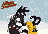 Reindeer Kollie Kissin in the snow