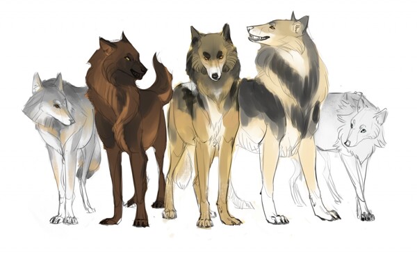 Anime Wolf Pack Image  Anime Wolf Pack Graphic Code  Cartoon wolf Anime  wolf drawing Anime wolf
