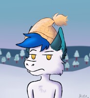 Winter icon