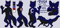 [C] Pitch Ref