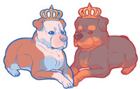 Royal Barkness