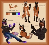 Introducing kara